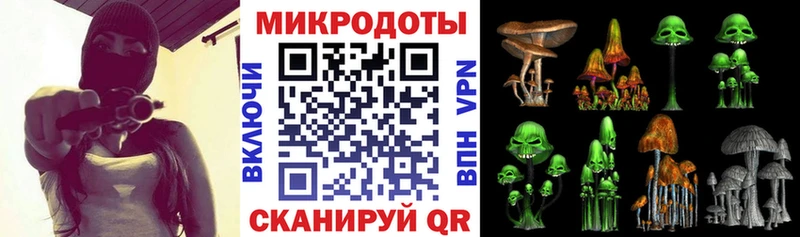 дарнет шоп  Фокино  Псилоцибиновые грибы Psilocybine cubensis 