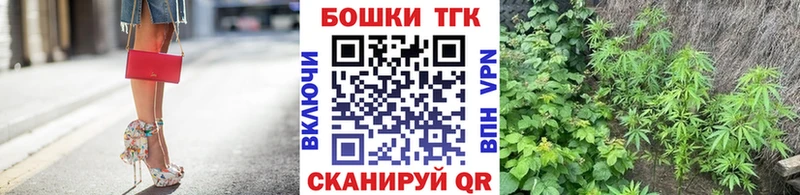 Канабис сатива  Фокино 